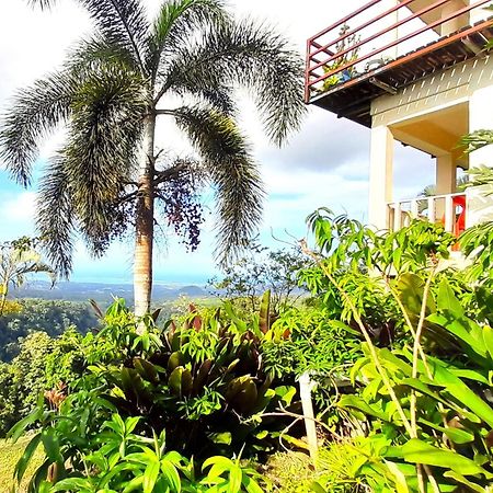 Dave Parker Eco Lodge Hotel Apia Luaran gambar