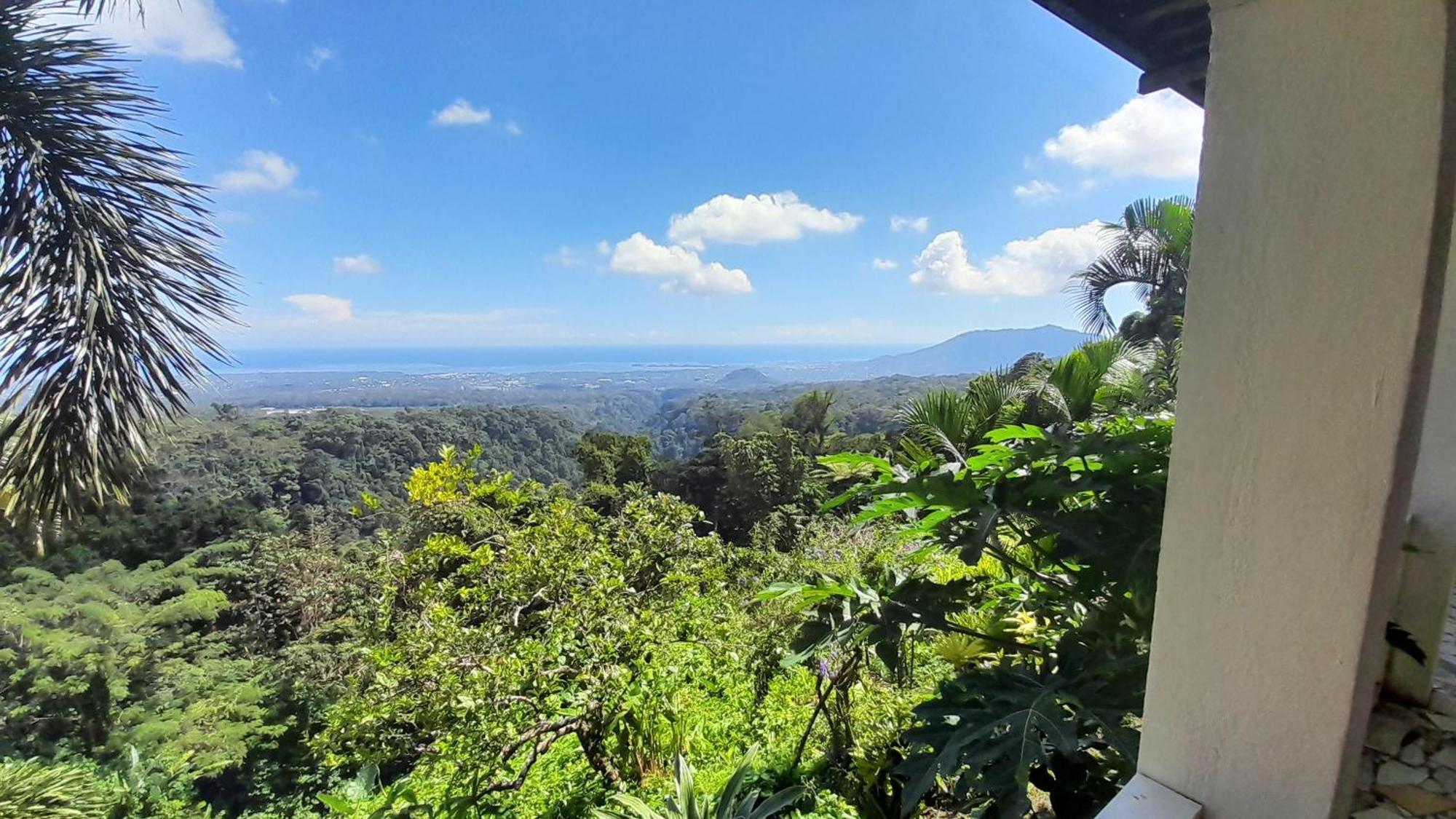 Dave Parker Eco Lodge Hotel Apia Luaran gambar