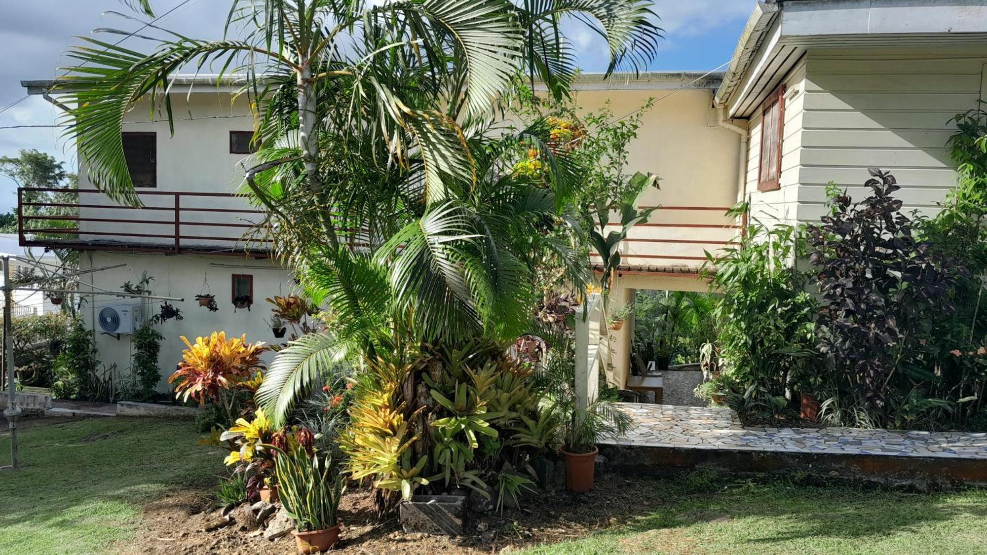 Dave Parker Eco Lodge Hotel Apia Luaran gambar
