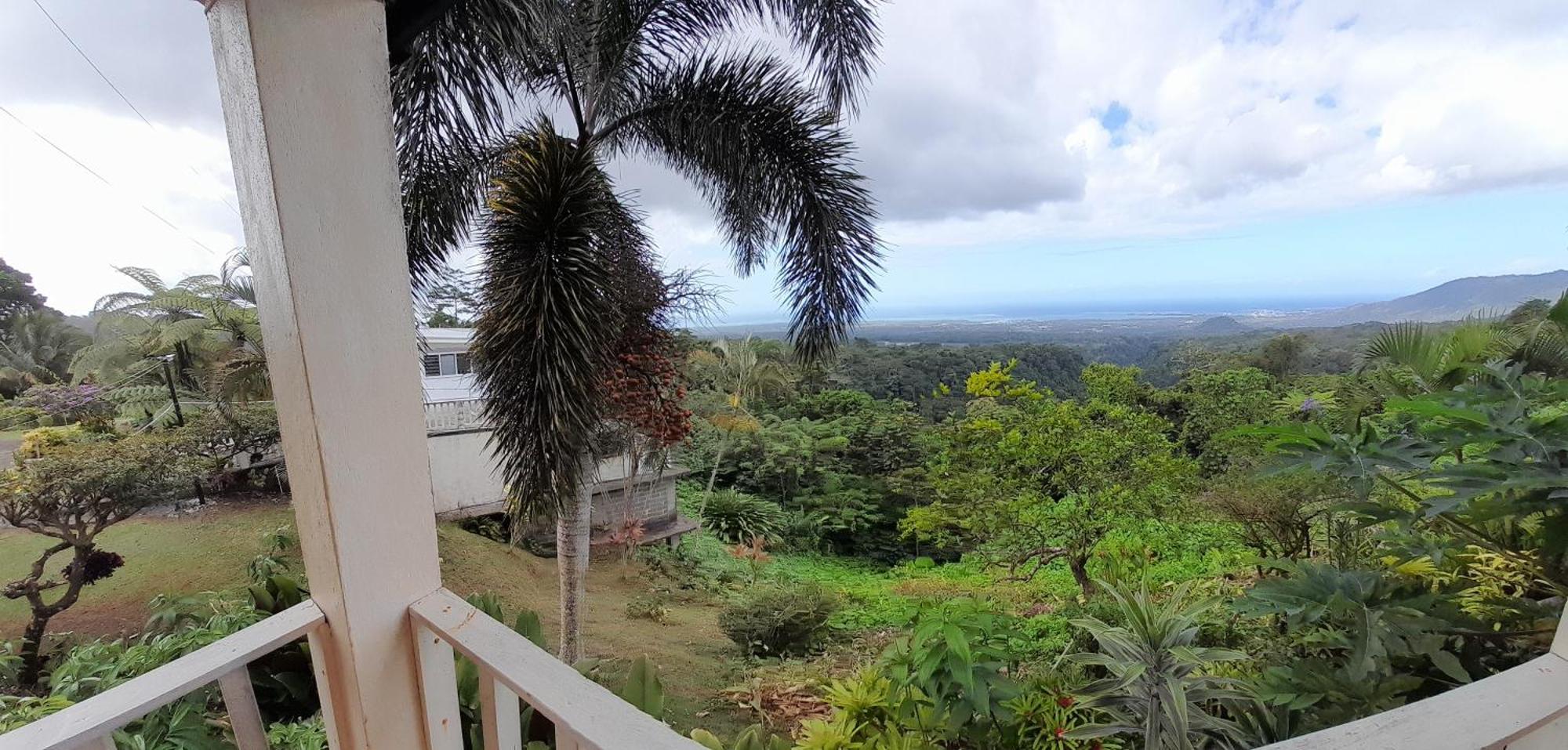 Dave Parker Eco Lodge Hotel Apia Luaran gambar