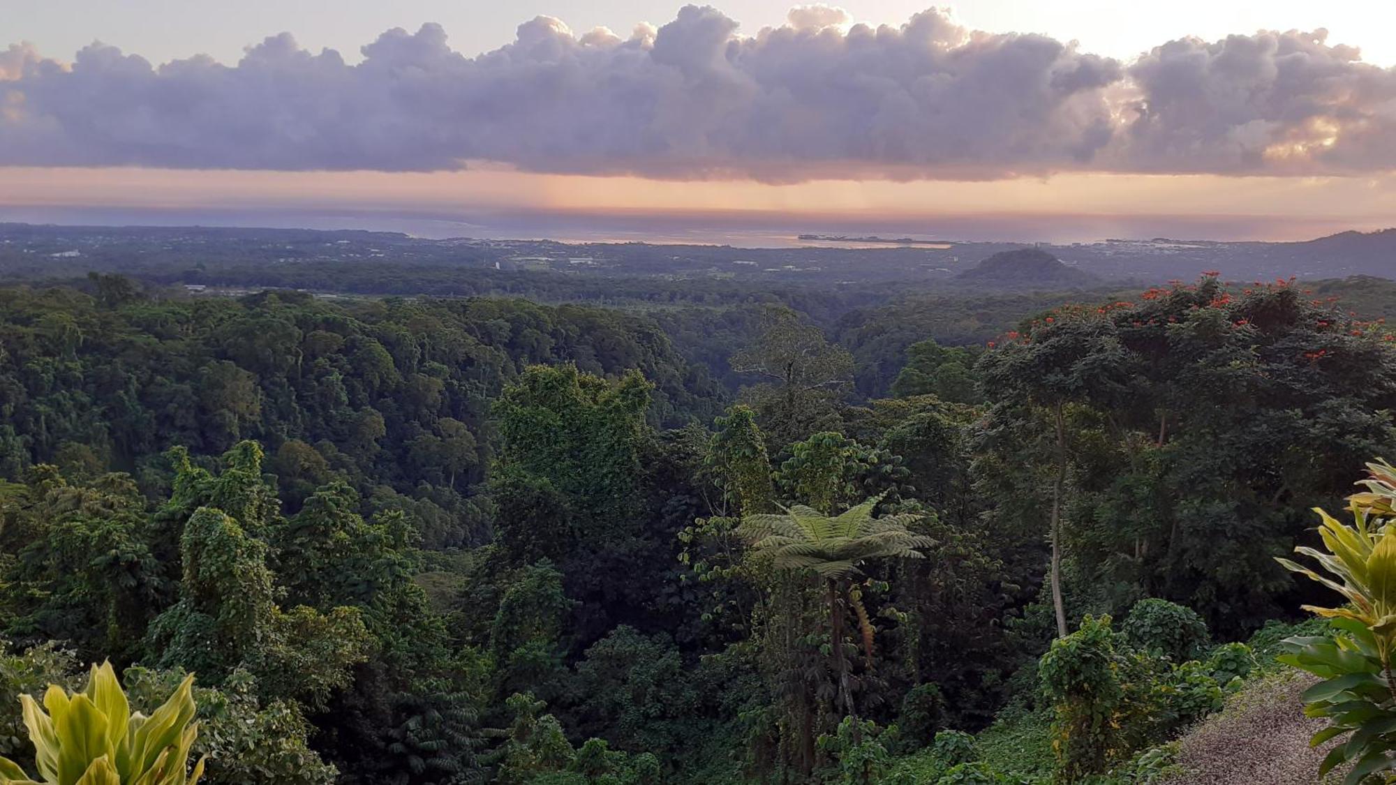 Dave Parker Eco Lodge Hotel Apia Luaran gambar