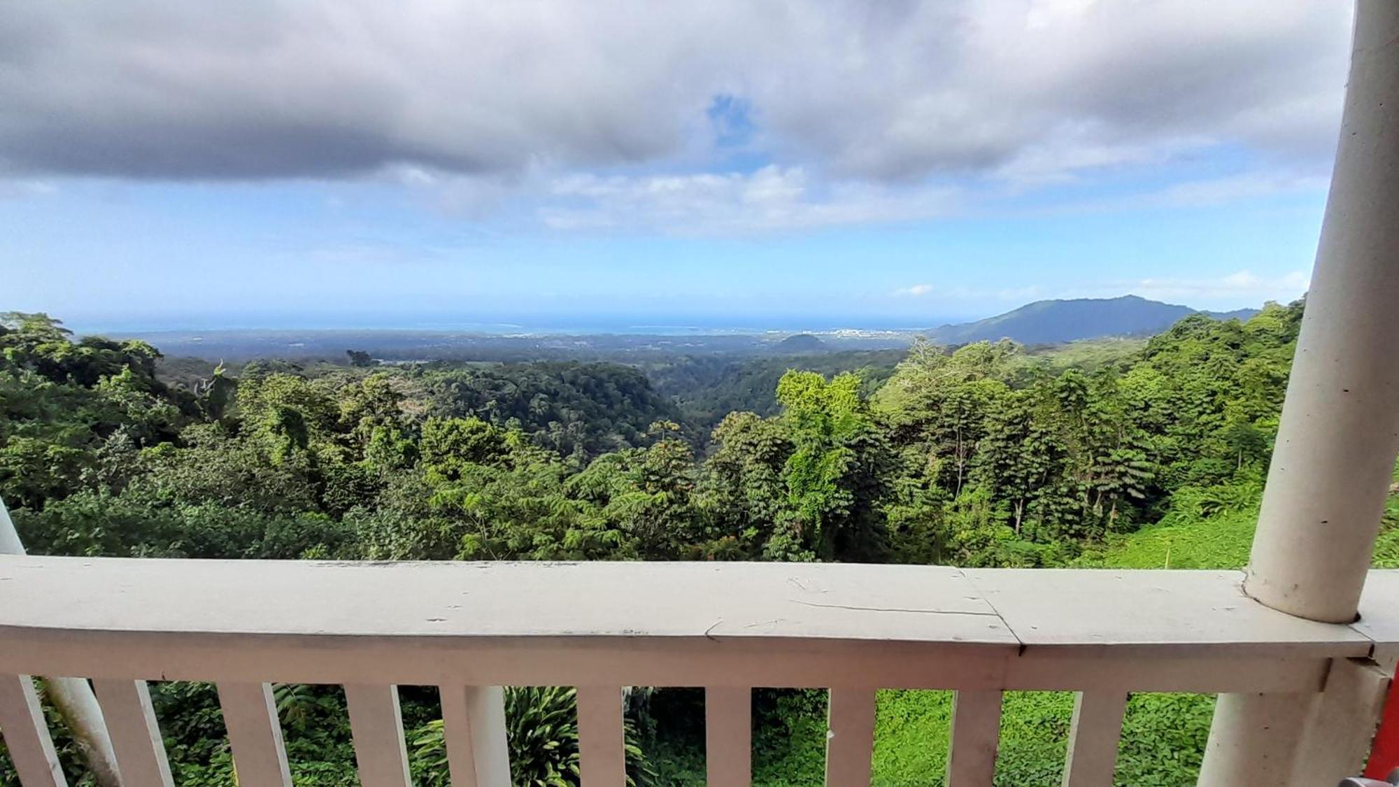 Dave Parker Eco Lodge Hotel Apia Luaran gambar
