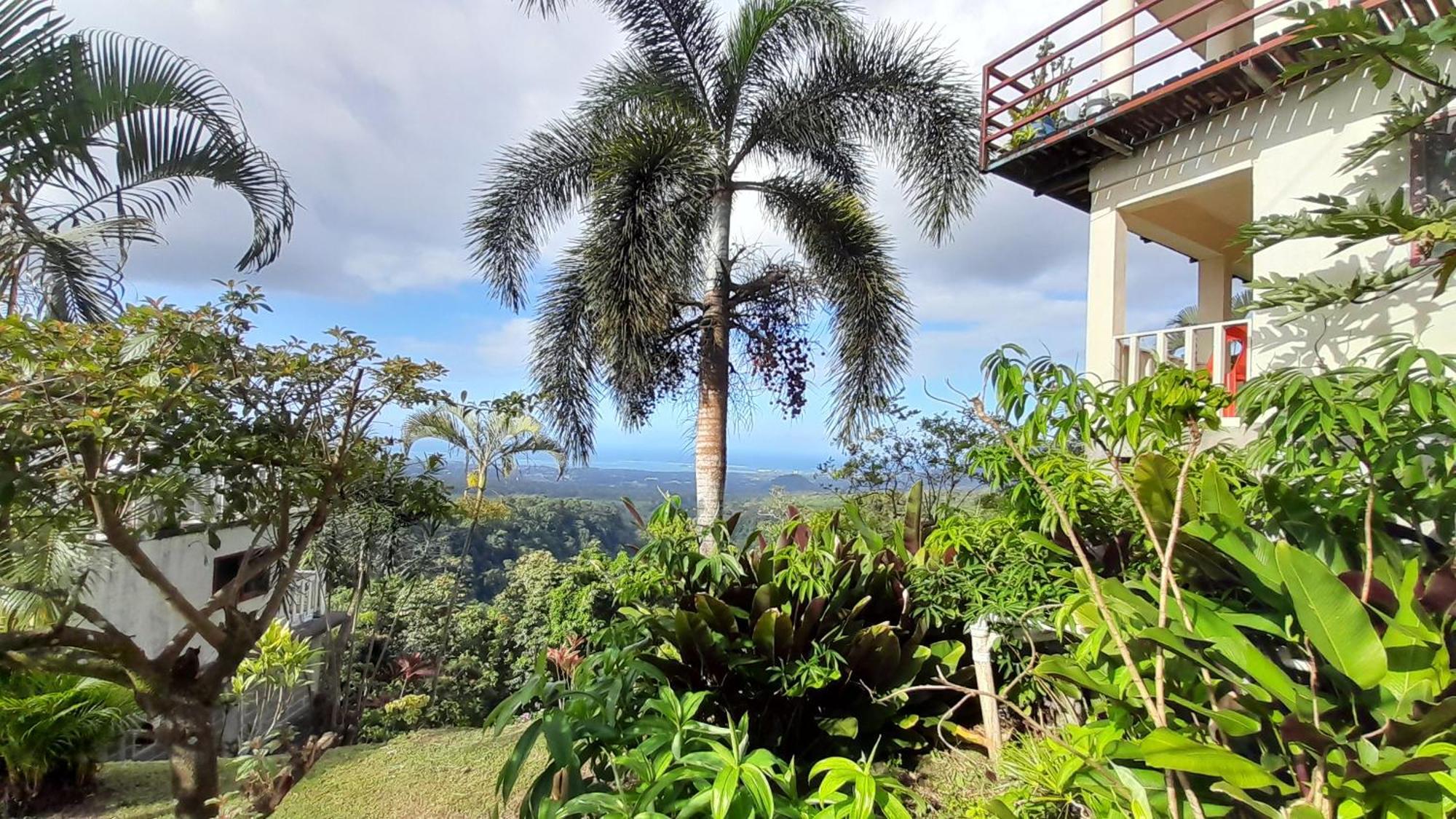 Dave Parker Eco Lodge Hotel Apia Luaran gambar