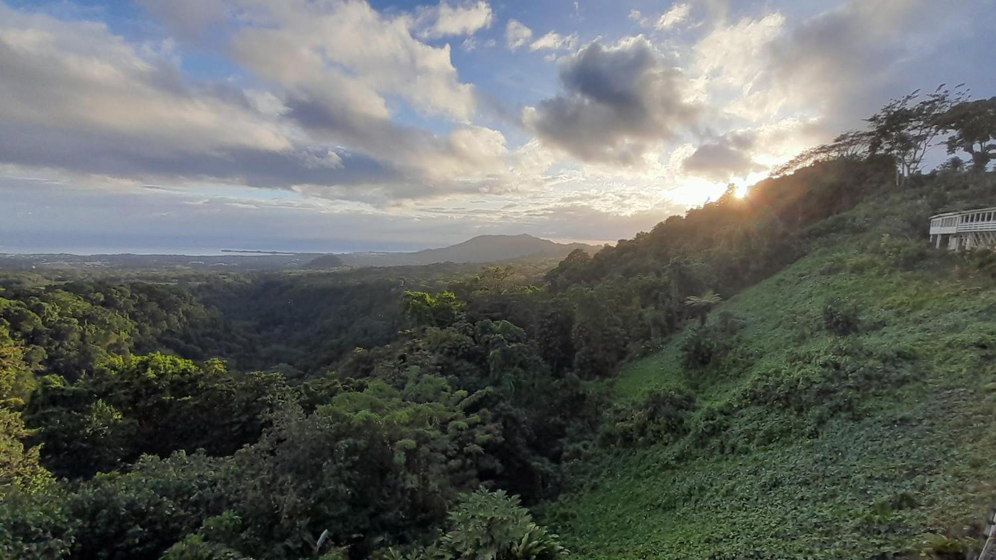 Dave Parker Eco Lodge Hotel Apia Luaran gambar
