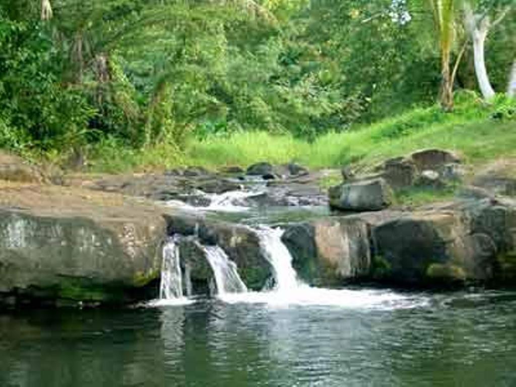 Dave Parker Eco Lodge Hotel Apia Luaran gambar