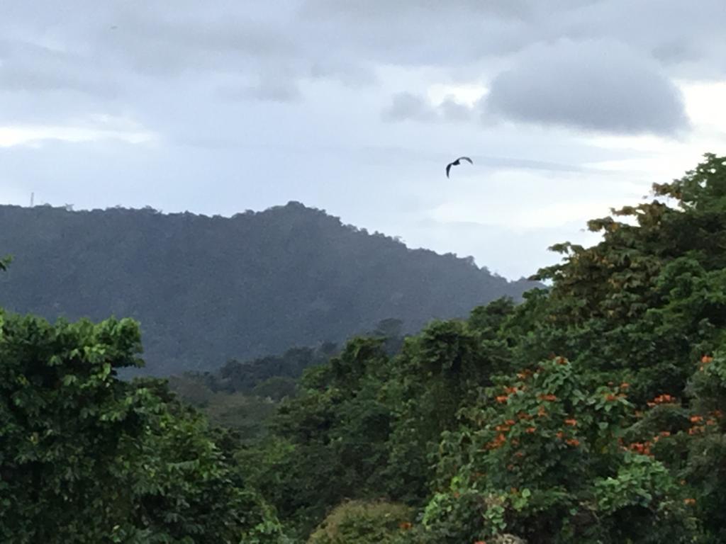Dave Parker Eco Lodge Hotel Apia Luaran gambar