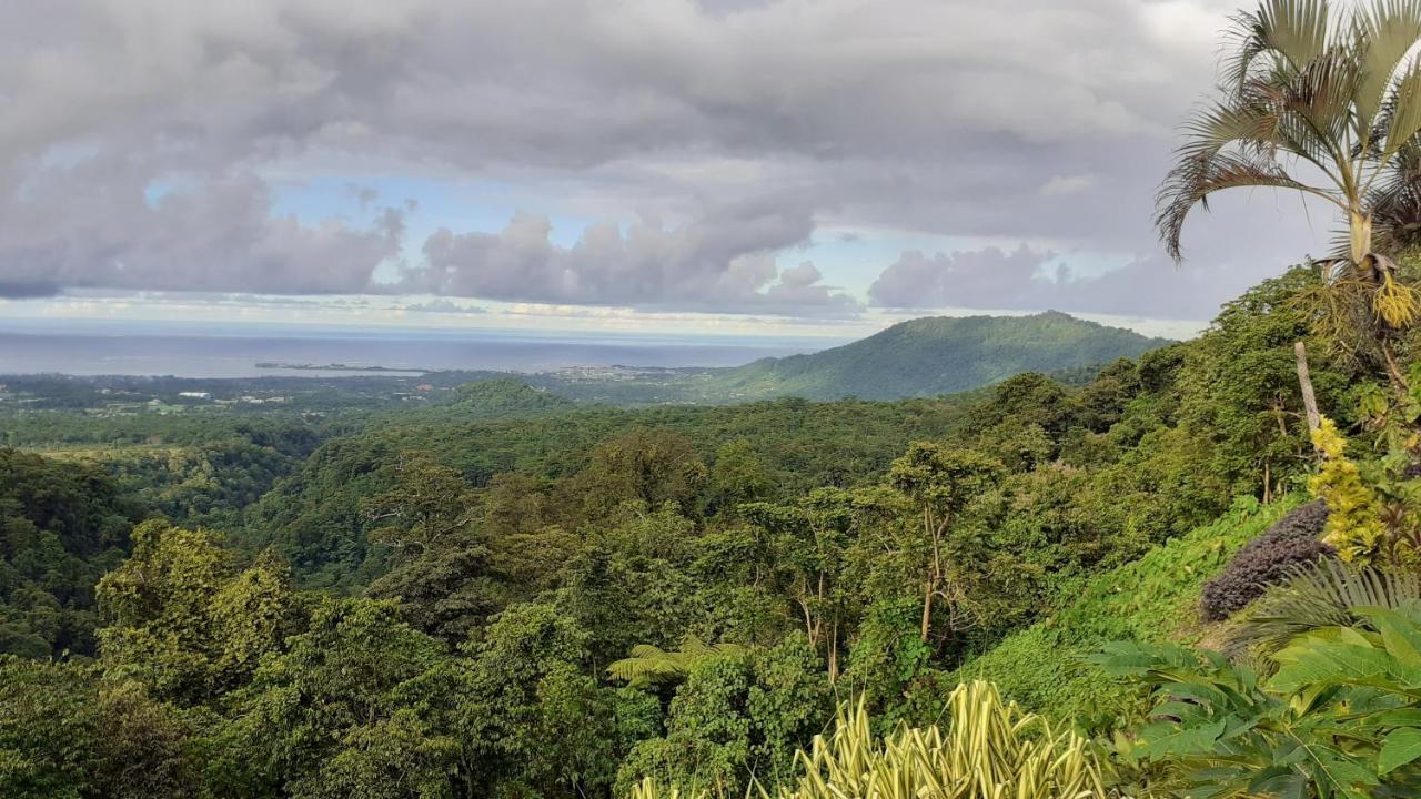 Dave Parker Eco Lodge Hotel Apia Luaran gambar