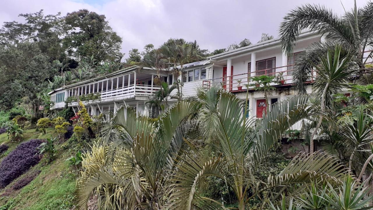 Dave Parker Eco Lodge Hotel Apia Luaran gambar