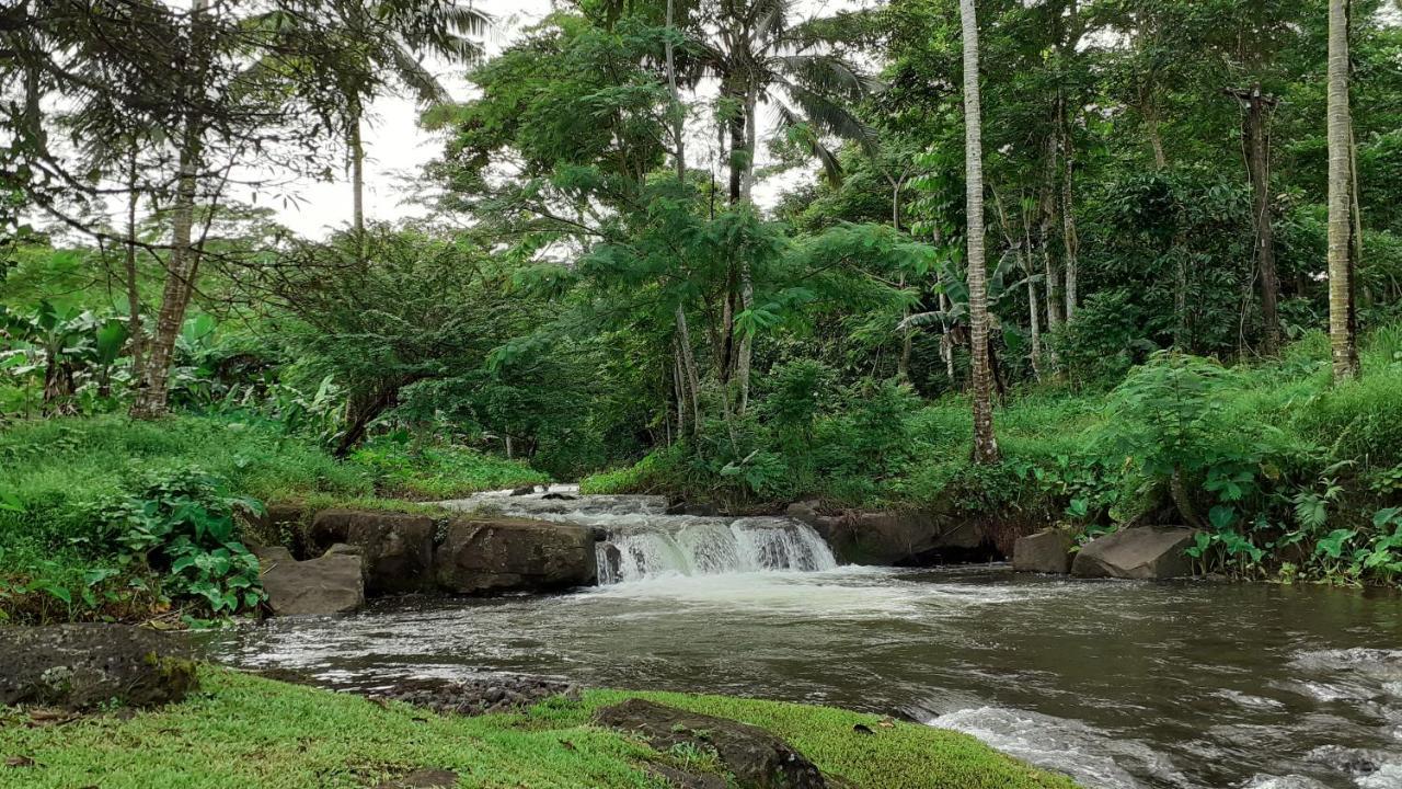Dave Parker Eco Lodge Hotel Apia Luaran gambar